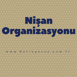 ins-nisan-org